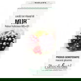 Extract din mladite de mur, 50ml, PlantExtrakt