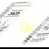 Extract din amenti de salcie salix, 50ml, PlantExtrakt