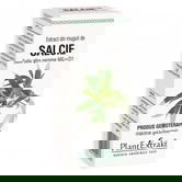Extract din muguri de Salcie, 50ml, PlantExtrakt