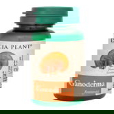 Ganoderma, 60 comprimate, Dacia Plant