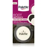 Schwarzkopf Palette Compact Root Retouch corector pentru acoperirea firelor carunte de par cu efect de pulbere culoare Brown 3 g