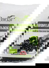 Aronia fructe uscate Bio, 100g, Pronat