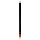 Illamasqua Colouring Lip Pencil creion contur buze culoare Spell 1,4 g