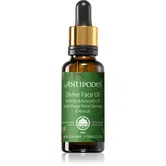 Antipodes Divine Face Oil Rosehip & Avocado Oil ser protector impotriva primelor semne de imbatranire ale pielii 30 ml