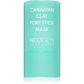 Neogen Dermalogy Canadian Clay Pore Stick Mask masca pentru curatare profunda pentru micsorarea porilor 28 g