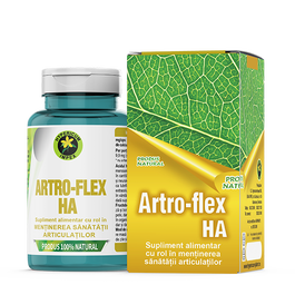 Artro Flex HA, 60 capsule, Hypericum