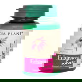 Echinacea forte, 60 comprimate, Dacia Plant