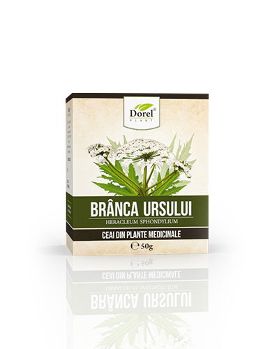 Ceai de Branca Ursului, 50g, Dorel Plant