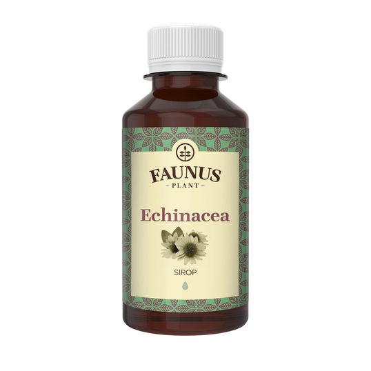 Sirop imunitate cu Echinacea, 200ml, Faunus Plant