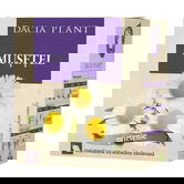 Ceai de musetel, 50g, Dacia Plant