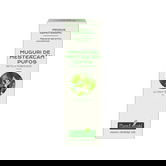 Extract concentrat din muguri de mesteacan pufos, 15ml, PlantExtrakt