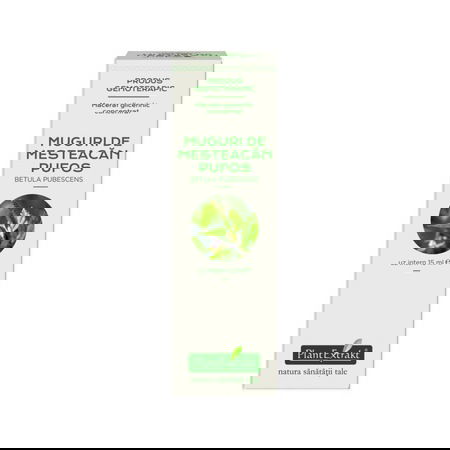 Extract concentrat din muguri de mesteacan pufos, 15ml, PlantExtrakt