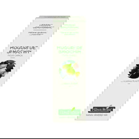 Extract concentrat din muguri de smochin, 15ml, PlantExtrakt