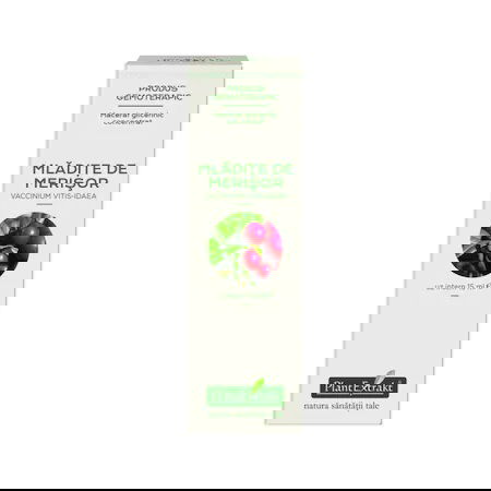 Extract concentrat din mladite de merisor, 15ml, PlantExtrakt