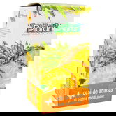 Ceai de ananas Premium, 20 plicuri, Plafar