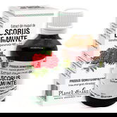 Extract din muguri de Scorus, 50ml, PlantExtrakt