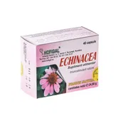Echinacea 40cps - Hofigal
