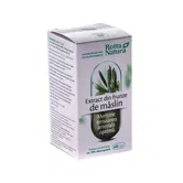 Extract Frunze Maslin 60cps - Rotta Natura