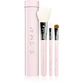 Sigma Beauty Essential set de pensule cu husă