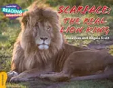Scarface: The Real Lion King Gold Band, Paperback - Angela Scott