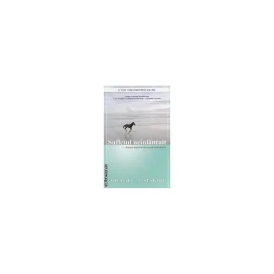 Sufletul neinlantuit -carte- Michael A. Singer - Adevar Divin