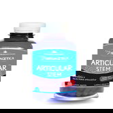 Articular Stem, 120 capsule, Herbagetica