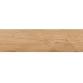 Cant ABS, Stejar Auriu Craf K003PW, 22 x 0.8 mm