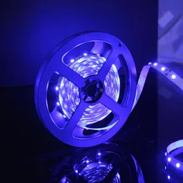 Banda LED Flink, albastru, 60 leduri/m, rola 5 m