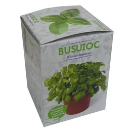 Kit busuioc Yurta, plic seminte, ghiveci plastic, punguta pamant