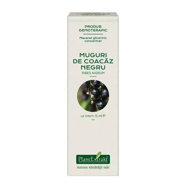 Coacaz Negru concentrat - muguri - gemoderivat - 15 ml - PlantExtrakt
