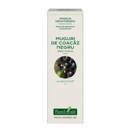 Coacaz Negru concentrat - muguri - gemoderivat - 15 ml - PlantExtrakt