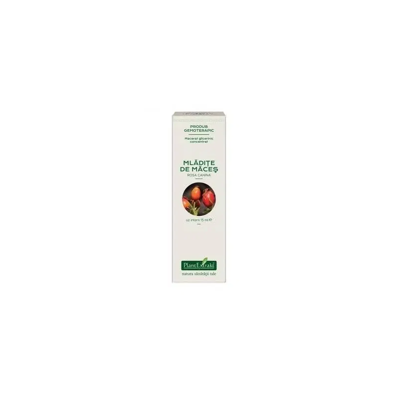 MACES - mladite concentrat - gemoderivat - 15ml - PlantExtrakt
