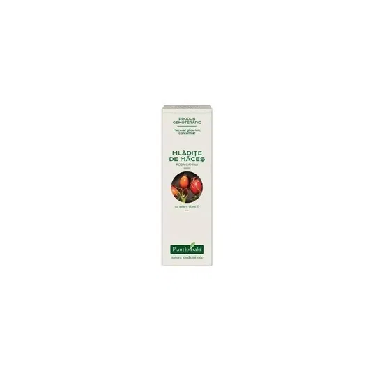 MACES - mladite concentrat - gemoderivat - 15ml - PlantExtrakt