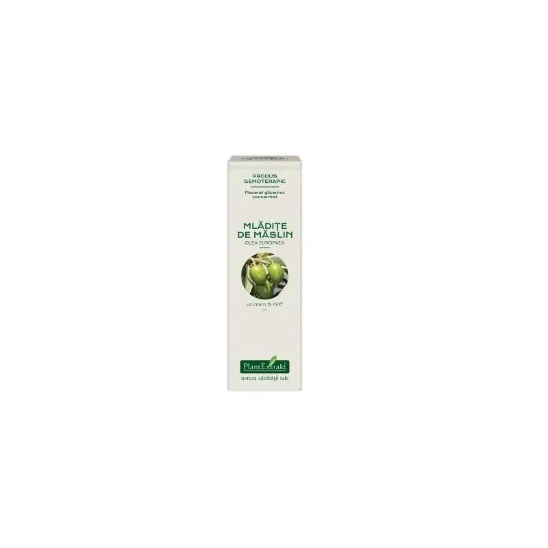MASLIN - mladite concentrat - gemoderivat - 15ml - PlantExtrakt