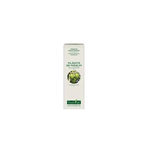 MASLIN - mladite concentrat - gemoderivat - 15ml - PlantExtrakt