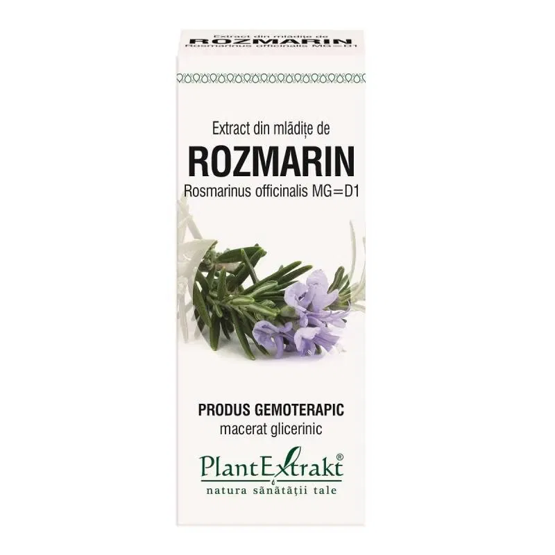 ROZMARIN - mladite - gemoderivat - 50ml - PlantExtrakt