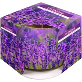 Lumanare parfumata Bispol, pahar imprimat, lavanda, 70 x 80 mm