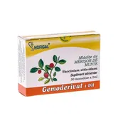 Merisor Munte mladite - gemoderivat 30monodoze - Hofigal