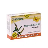 Salcie muguri - gemoderivat 30monodoze - Hofigal