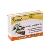 Paducel mladite - gemoderivat 30monodoze - Hofigal