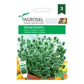 Seminte de cimbru, Agrosel