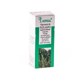Tinctura Patlagina 50ml - Hofigal