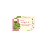 Ceai Angelica 30g - Hypericum