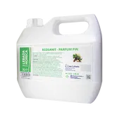 Detergent pentru obiecte sanitare Lebada Ecosanit, pin, 3l