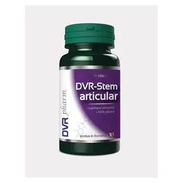 DVR-Stem Articular 60cps - DVR Pharma