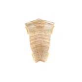 Set colt interior plinta parchet Korner Perfecta 62, stejar nostalgie, PVC, 62 x 23 mm, 2 bucati/set