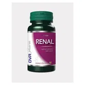 Renal 60cps - DVR Pharm