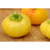 Seminte de ardei iute rotundel Agrosel