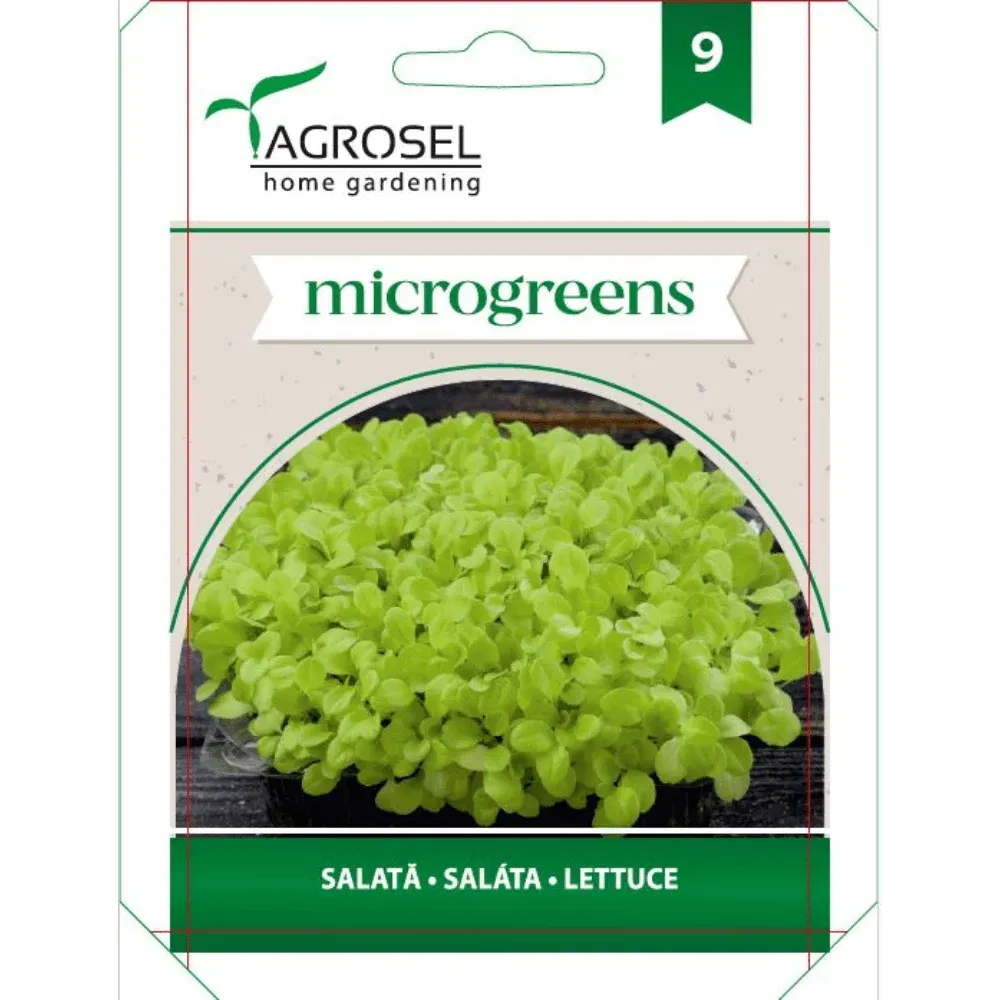 Seminte salata AS-PG9 Agrosel, 5 g