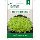 Seminte salata AS-PG9 Agrosel, 5 g